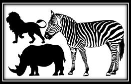 zebra ,lion and rhinocerous-110 x 180 mm min buy 3